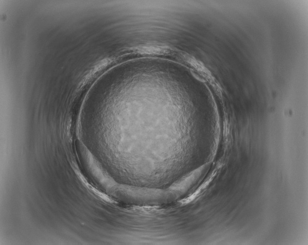 X0000086020201200703231154