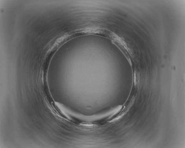 X0000086020205200703231154