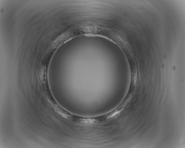 X0000086020233200703231154