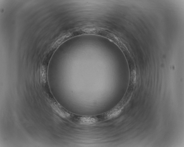 X0000086020234200703231154