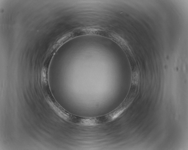 X0000086020238200703231154