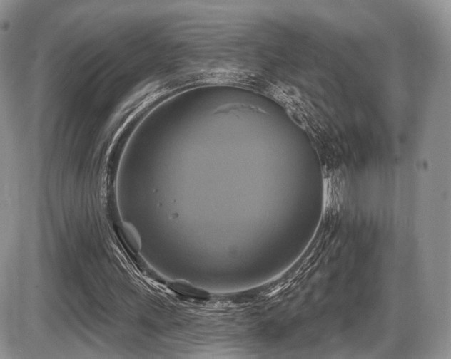 X0000086020243200703231153