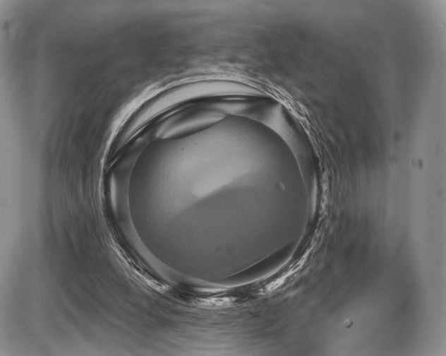 X0000086020248200703231153