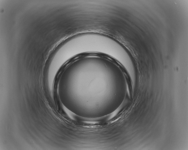 X0000086020252200703231153