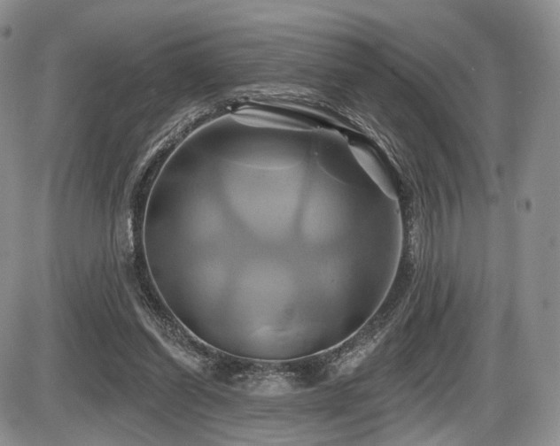 X0000086020254200703231153