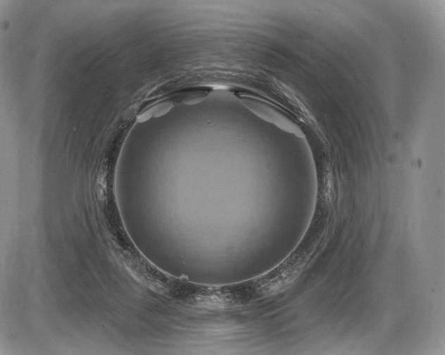 X0000086020259200703231153