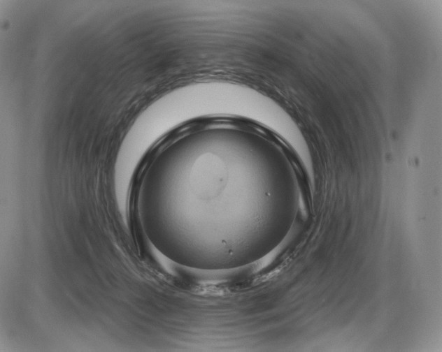 X0000086020272200703231154