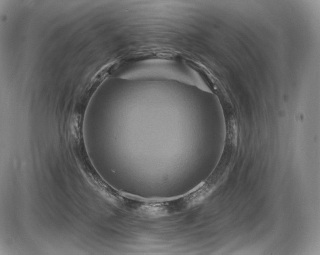 X0000086020280200703231154
