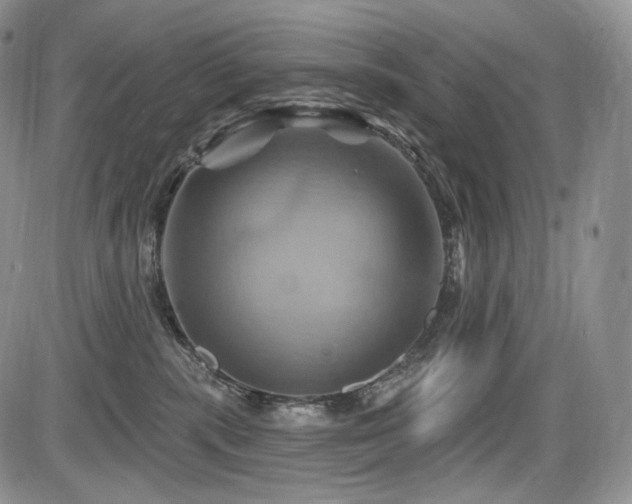 X0000086020283200703231154