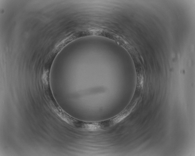 X0000086020286200703231154