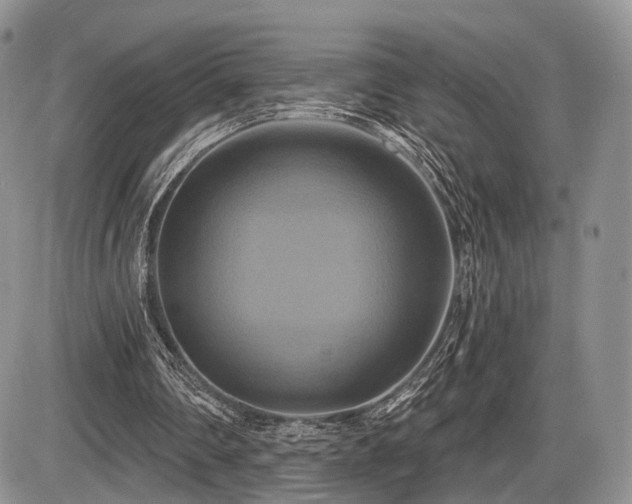 X0000086020290200703231153