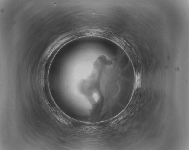 X0000086020291200703231153