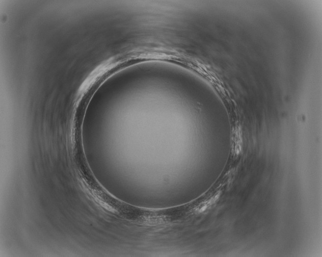 X0000086020296200703231153