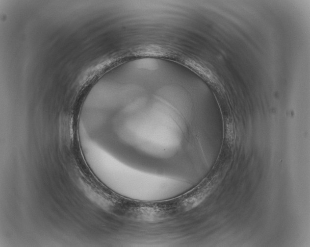 X0000086020302200703231153