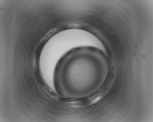X0000086020312200703231153