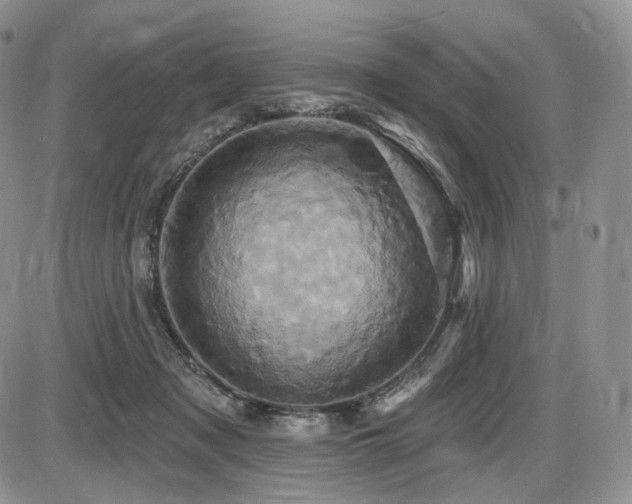 X0000086020317200703231153