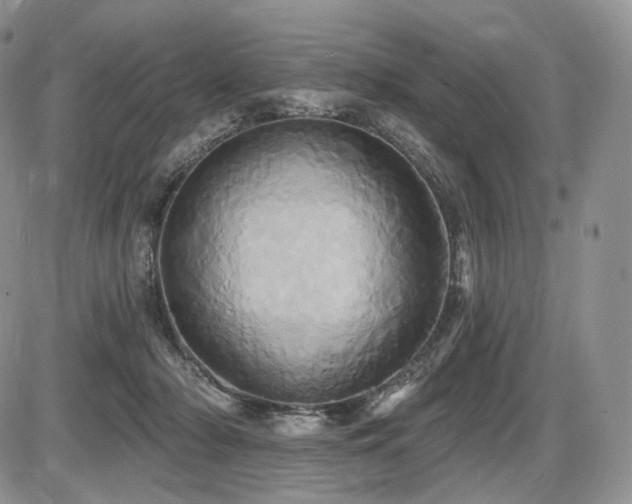 X0000086020318200703231152