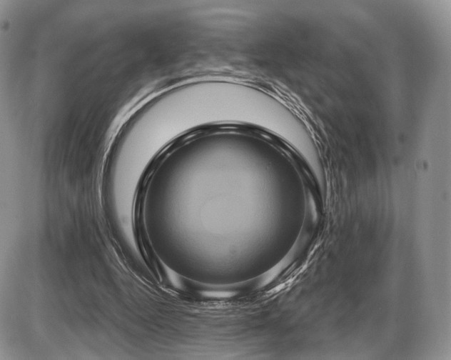 X0000086020344200703231152