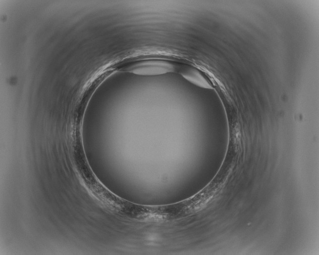 X0000086020352200703231152