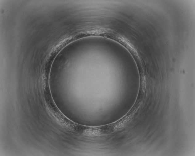 X0000086020354200703231152
