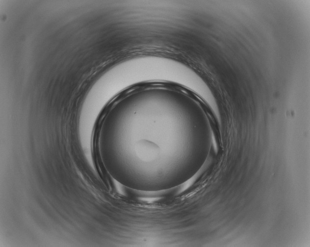 X0000086020360200703231152
