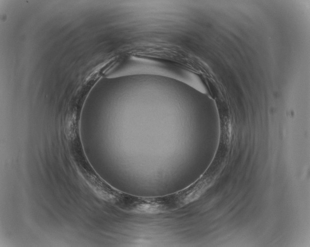 X0000086020364200703231152