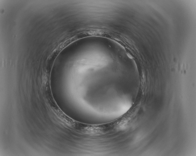 X0000086020367200703231152