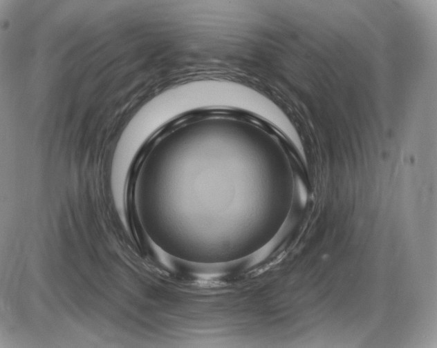 X0000086020376200703231152