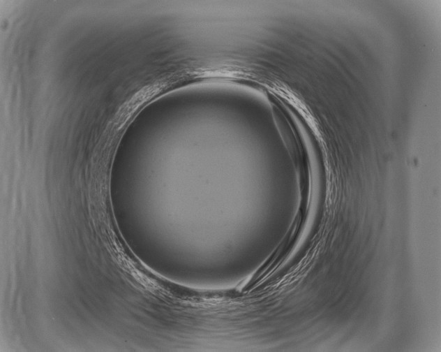X0000086020385200703231151