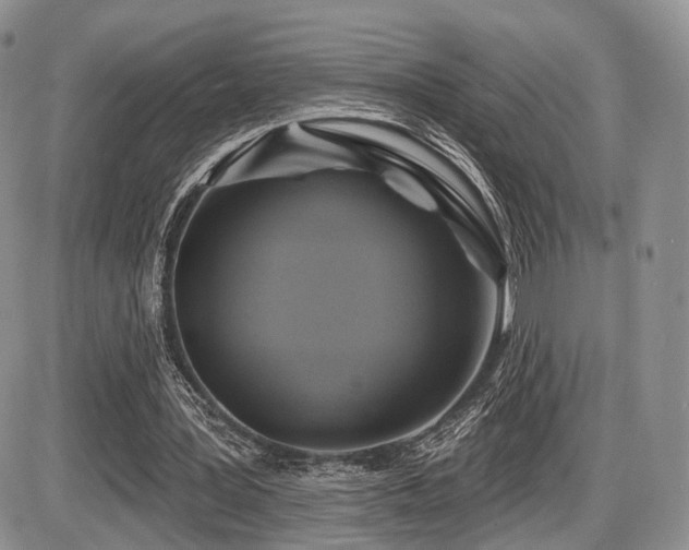 X0000086020387200703231151