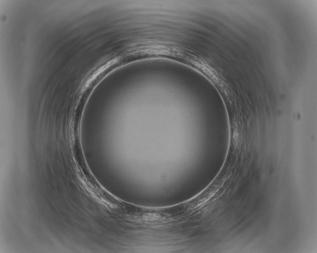 X0000086020390200703231151