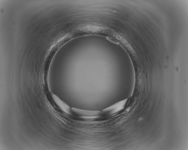 X0000086020399200703231151