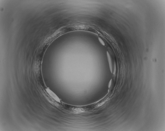 X0000086020409200703231151