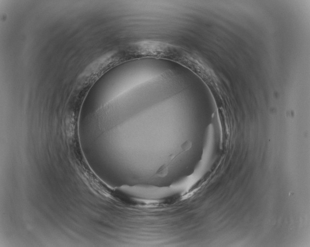 X0000086020413200703231151