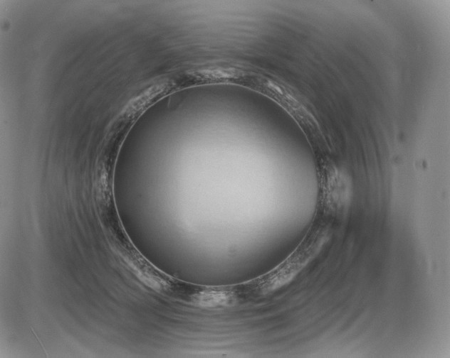 X0000086020418200703231151