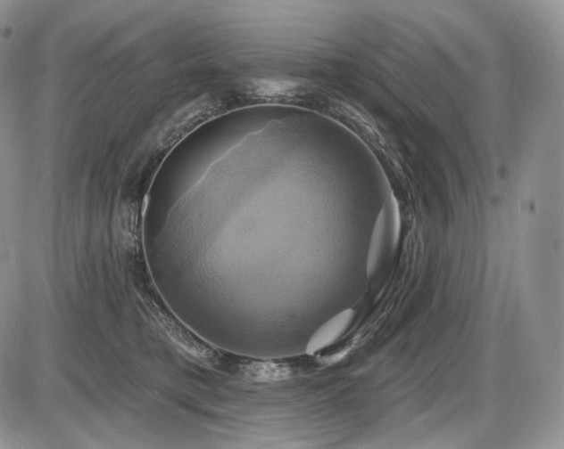 X0000086020421200703231151