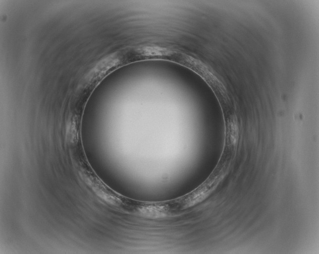 X0000086020422200703231151