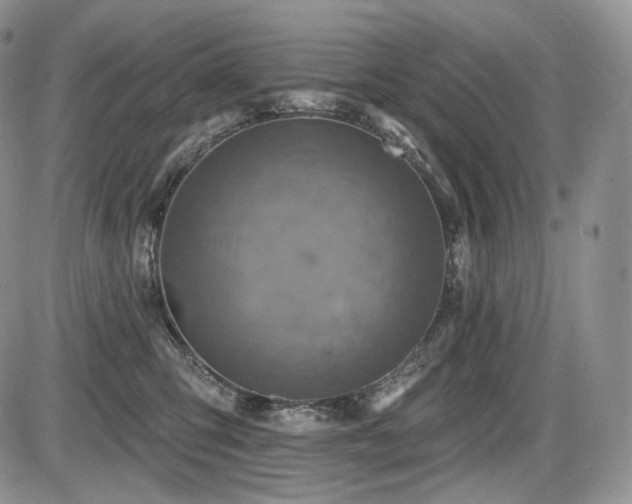 X0000086020423200703231151