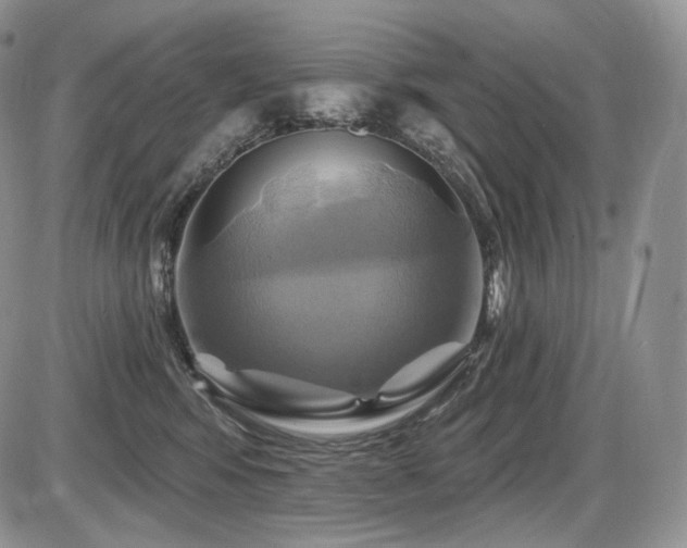 X0000086020424200703231151
