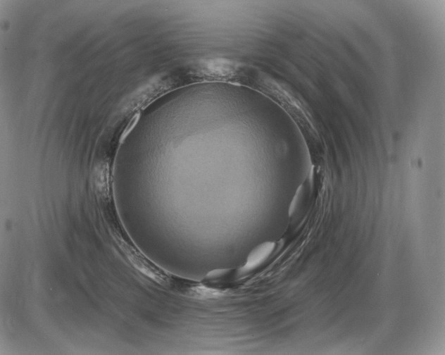 X0000086020425200703231151