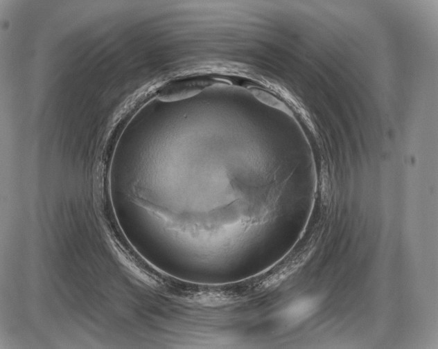 X0000086020445200703231150