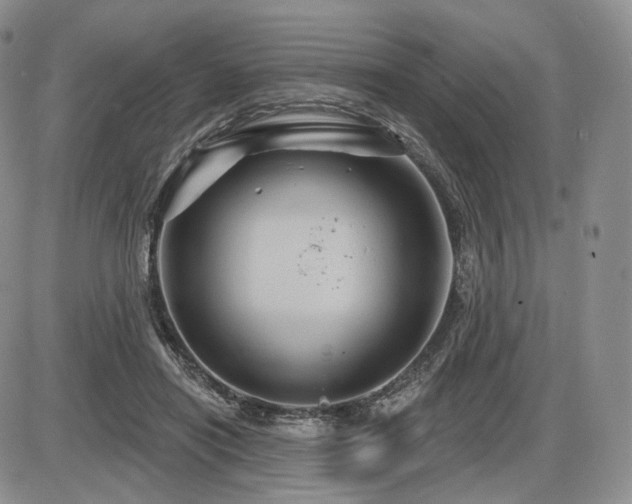 X0000086020454200703231150
