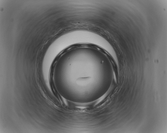 X0000086020456200703231150