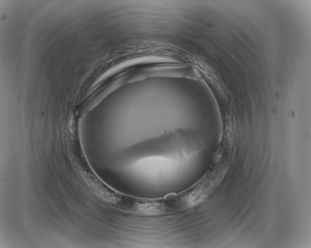 X0000086020461200703231150
