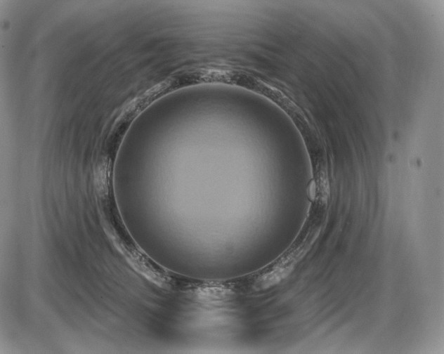 X0000086020468200703231150