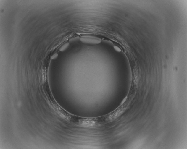 X0000086020471200703231150