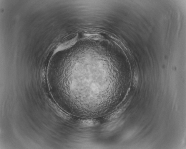 X0000086020473200703231150