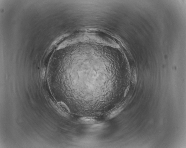 X0000086020477200703231151