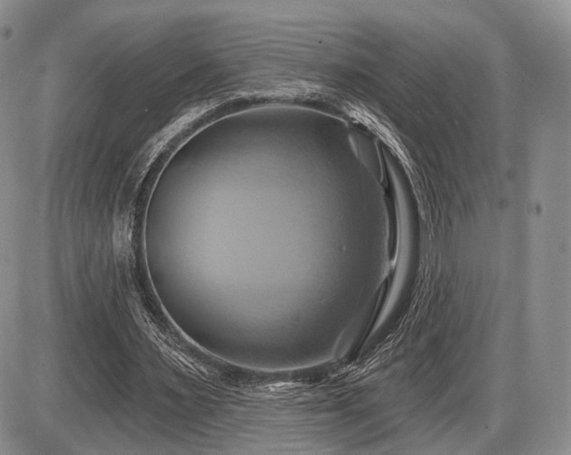 X0000086020483200703231150