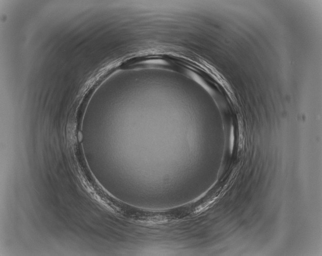 X0000086020485200703231150